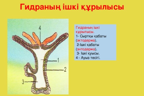 Кракен основная ссылка onion